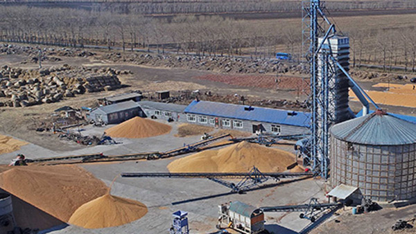 糧食烘干合作社如何做到年節(jié)省90萬元？利民萬佳鍋爐為您解析